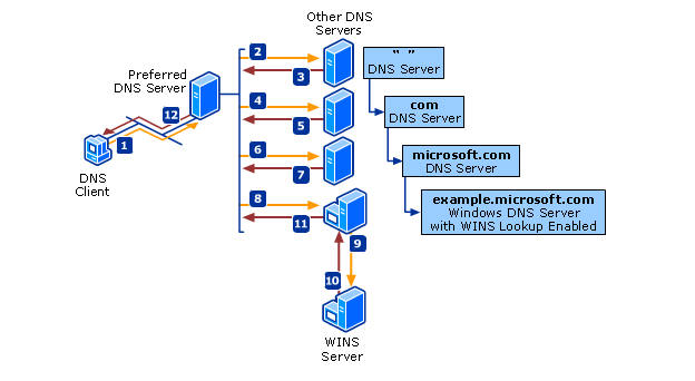 DNS process
